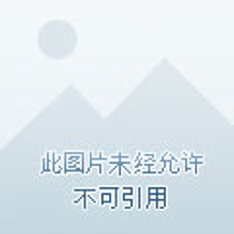 宁德商贸公司:在多元化的时代演绎商业新篇